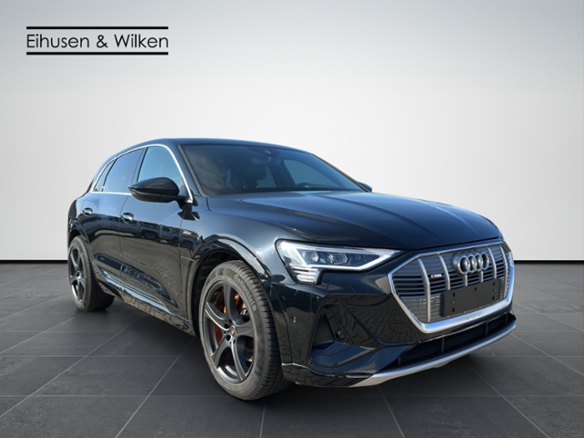 Audi - e-tron 50+S-LINE+LED+VIRTUAL+KAMERA+_24