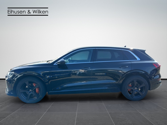 Audi - e-tron 50+S-LINE+LED+VIRTUAL+KAMERA+_19