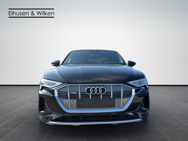 Audi - e-tron 50+S-LINE+LED+VIRTUAL+KAMERA+_25